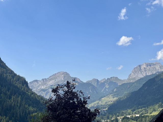 Les Soldanelles Residence, Building A, Apartment 02, mountain view, Châtel Vallée d'Abondance 74390