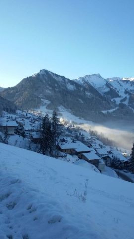 Résidence les SORBIERS, Extérieur, Châtel Montagne