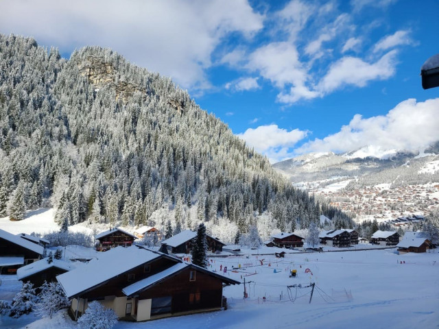 Residence Les Tyroliens, Apartment 12A, Chatel, View, Fresh air
