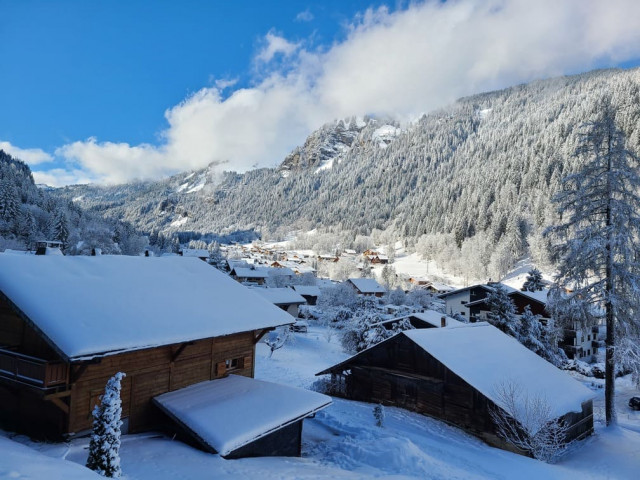 Residence Les Tyroliens, Apartment 12A, Chatel, View, Wellness in the resort