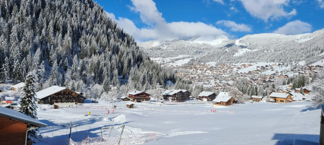 Residence Les Tyroliens, Apartment 12A, Chatel, View, Snow-capped mountains