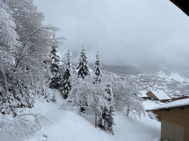 Résidence Yeti, appartement n°42, Vue extérieur, Châtel, Neige