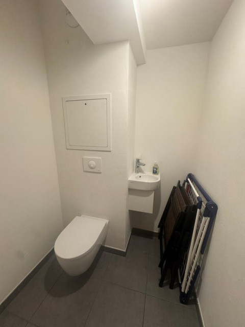 Residence Les Soldanelles, Apartment 3B, Chatel, WC for people with reduced mobility, Portes du Soleil