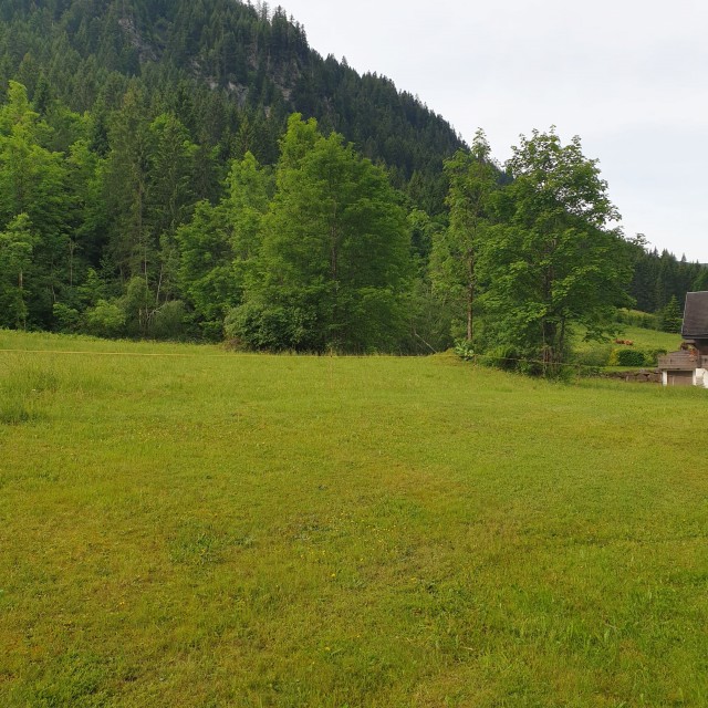 Studio 3 personnes, Châtel, Résidence les Avenières 5A calme