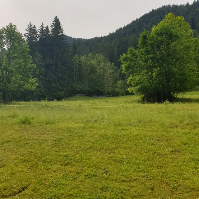 Studio 3 personnes, Châtel, Résidence les Avenières 5A jardin