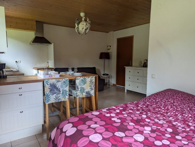 Studio dans chalet Les Bouquetins, Châtel, Béchigne