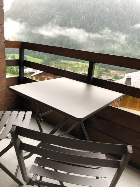 Studio le Chambron 17, Balcon, Châtel Village 74