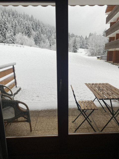 Myrtilles MR7 Terrace - Châtel, Pré La Joux