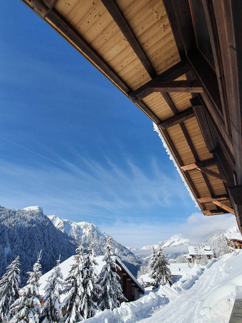 vue chalet, Châtel, soleil neige ski