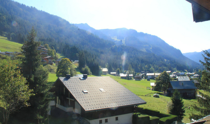 viewfrompatio_summer