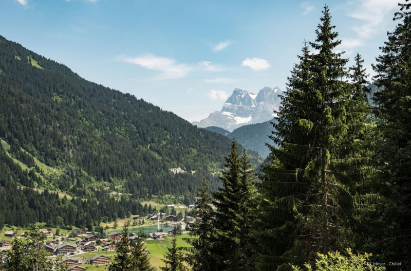 Environnement Appartement ALPENLAKE AP110