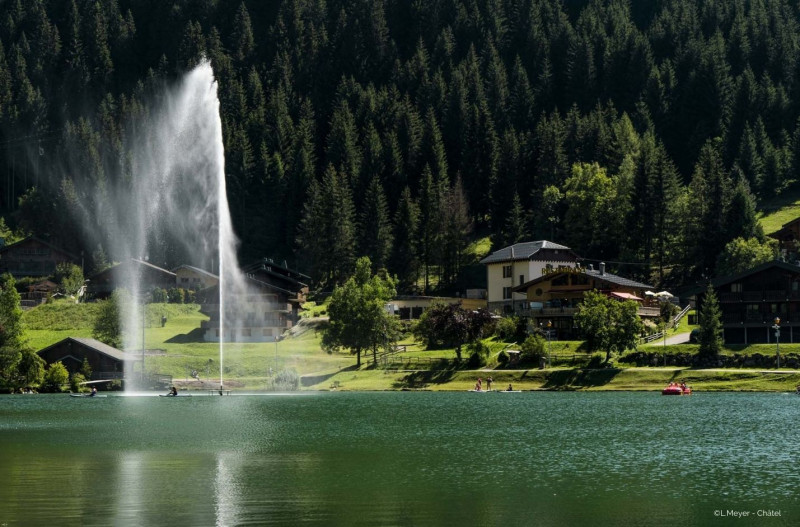 Environnement Chalet Papillon PPL