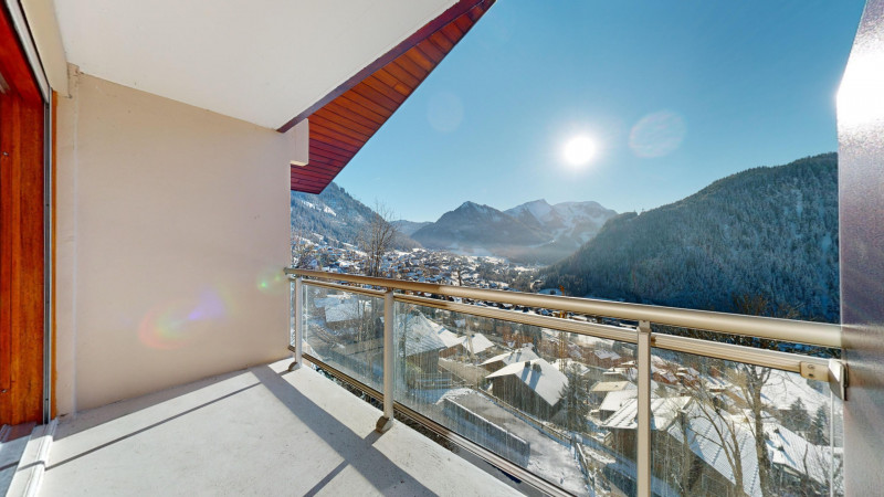 AlpVision-Chatel-Appartement-27-Chatel-12132024_152748