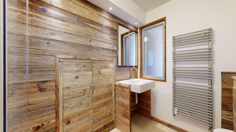 AlpVision-Chatel-Appartement-27-Chatel-12132024_153353