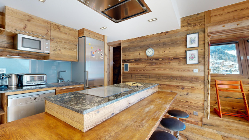 AlpVision-Chatel-Appartement-27-Chatel-12132024_153720