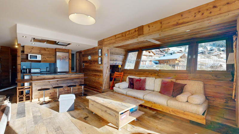 AlpVision-Chatel-Appartement-27-Chatel-12132024_153951