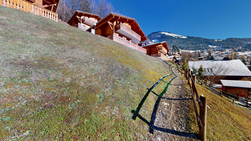 AlpVision-Chatel-Chalet-Alba-Roitet-12132024_100647