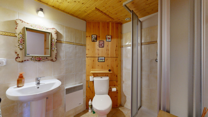 AlpVision-Chatel-Chalet-Alba-Roitet-12132024_102241