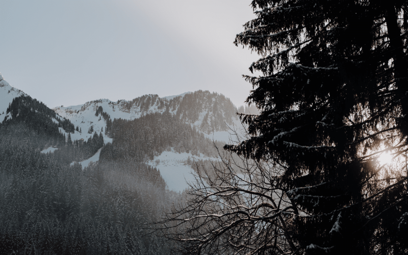 Room 476487-1146544 Room 476487-1146544