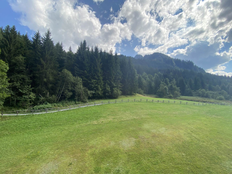 _lv_images__lot_0000000170_10_8504203 _lv_images__lot_0000000170_10_8504203