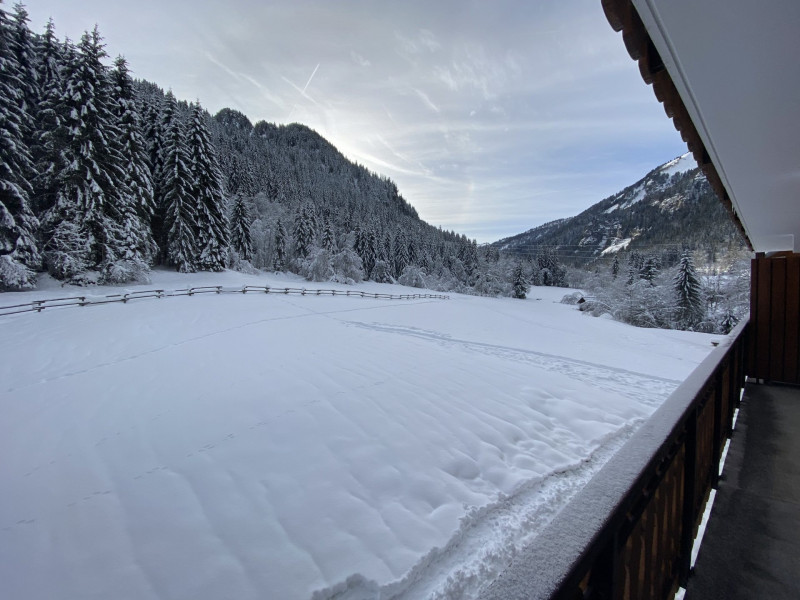 _lv_images__lot_0000000170_15_8433731