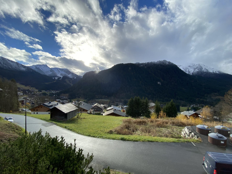 _lv_images__lot_0000000185_10_7876195