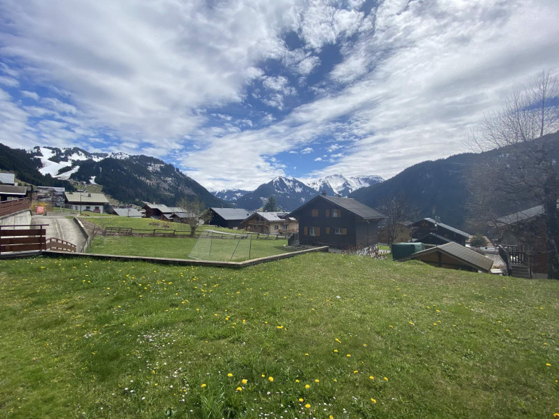 _lv_images__lot_0000000193_11_8224853 _lv_images__lot_0000000193_11_8224853