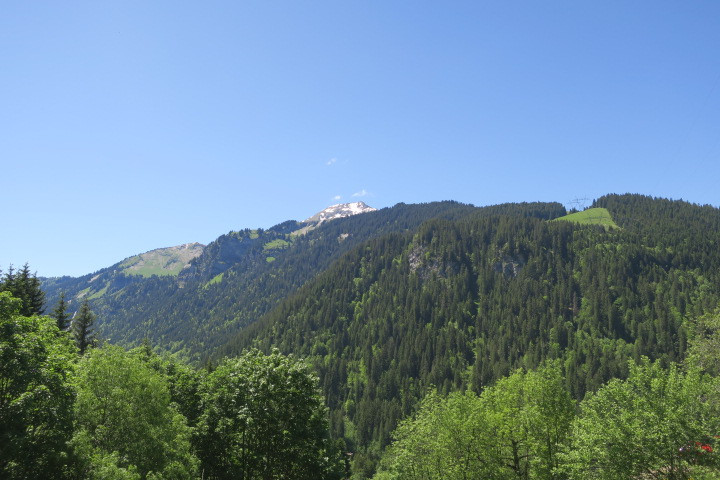 Vue depuis le séjour Vue depuis le séjour