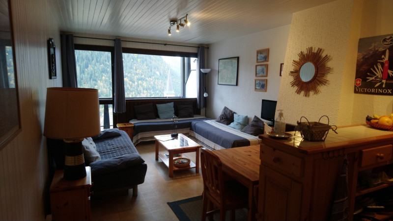 Appartement 404 Résidence Les Rhododendrons, Séjour, Châtel Haute-Savoie