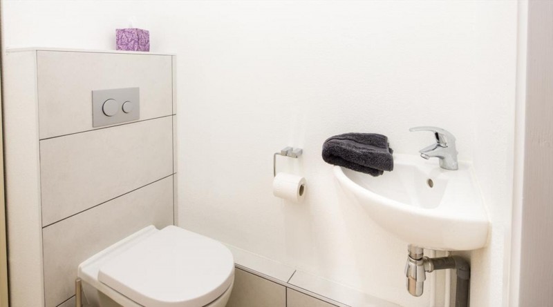 Appartement 6 personnes à Châtel résidence 4 élèments toilette