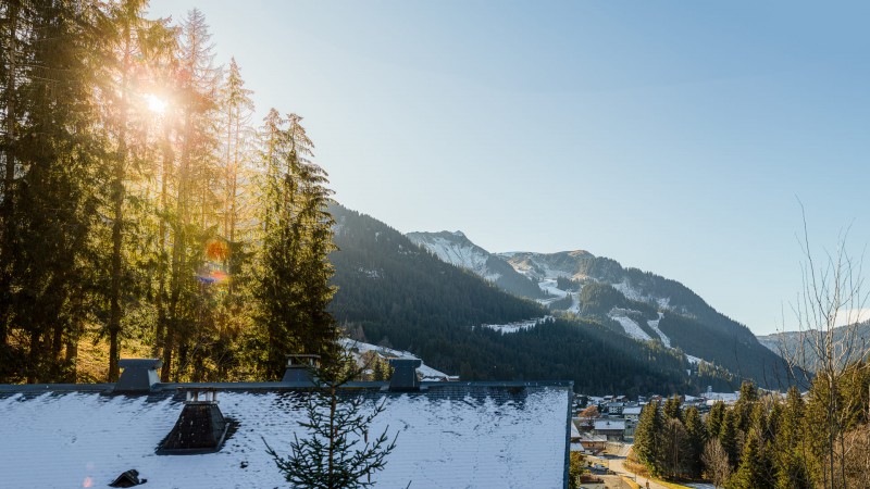 Appartement Chalet des Freinets, 6 personnes, Châtel, vue montagnes