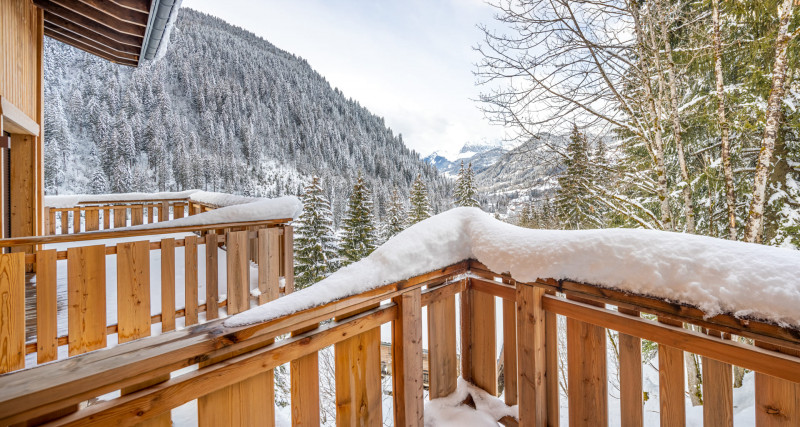 Appartement Chalet des Freinets, Balcon vue montagnes, Châtel Ski 74