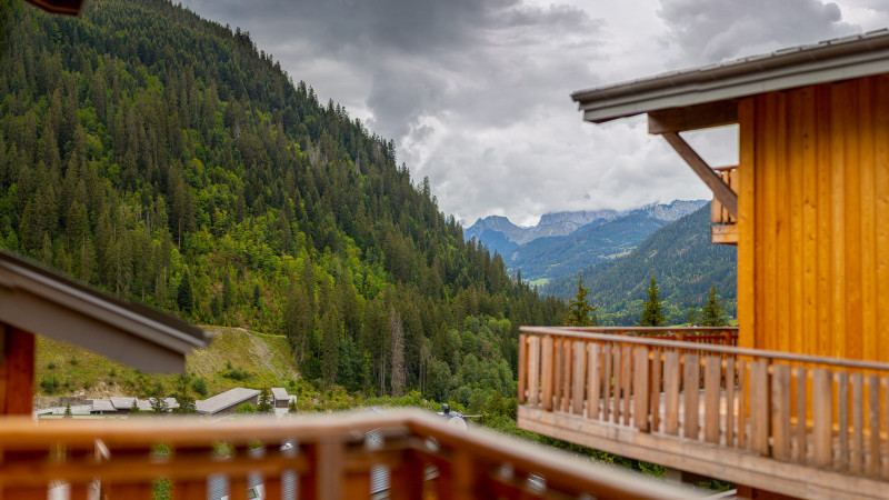 Apartment Chalet des Freinets, Balcony with mountain view, Ski 74