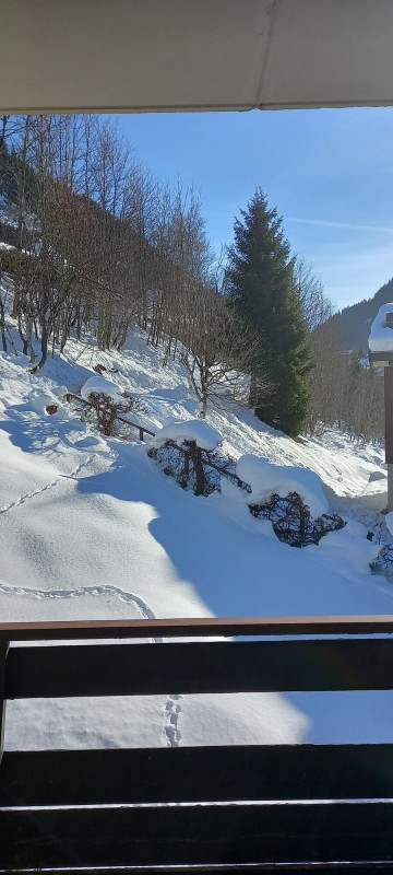 Appartement croix de savoie n°10, Vue depuis le balcon, Châtel Portes du Soleil