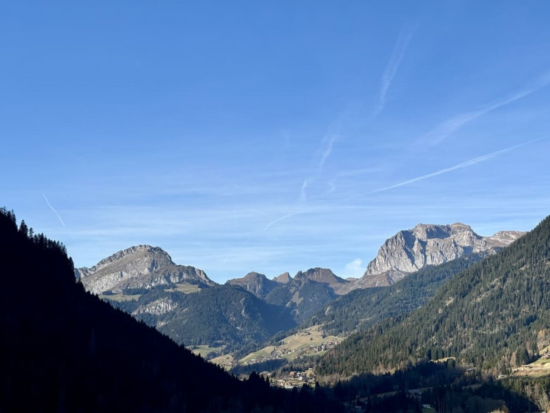 Apartment in Chalet des Iris, Chatel, View, Mountain stay