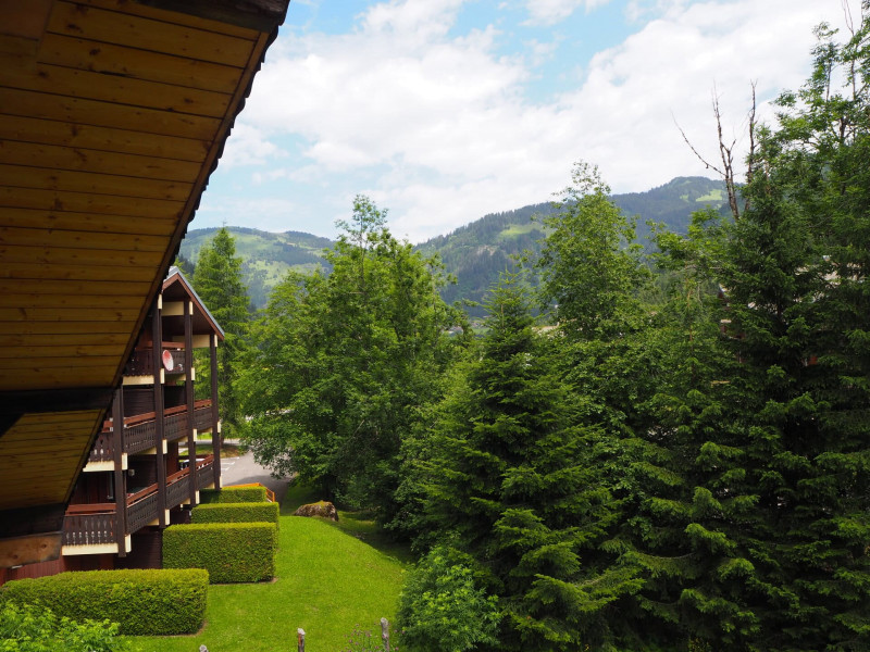 Appartement dans chalet la clairière, Châtel, Vue, Location matériel de ski 74390