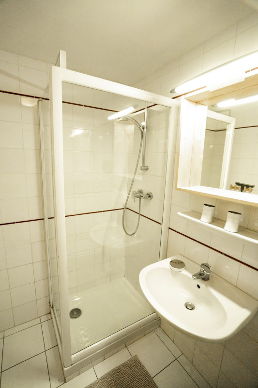 Apartment in Chalet La Puce, Shower room, Châtel Holidays 74