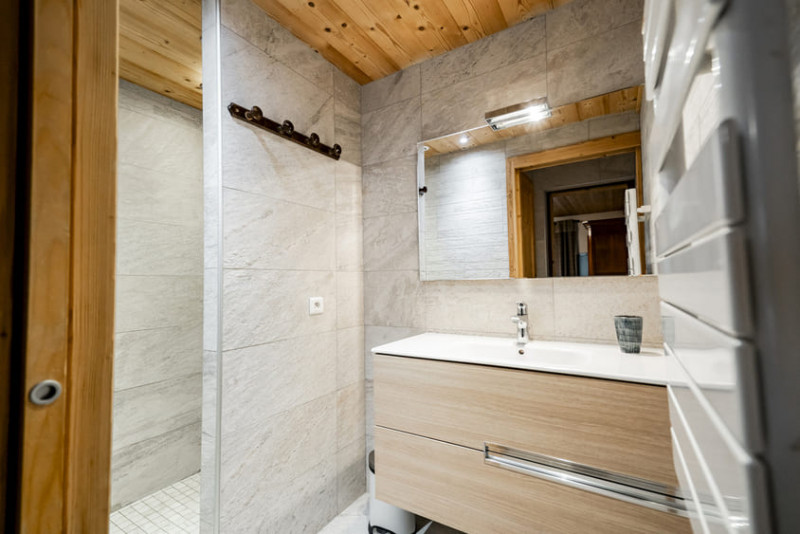 Appartement dans chalet les Boudimes, Salle de douche, Châtel Pistes de skis 