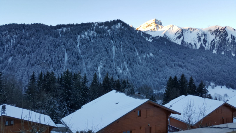 Apartment in chalet Les Greniers, View, Châtel French alps