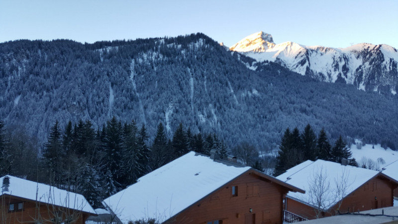 Appartement dans chalet Les Greniers, Vue, Châtel Alpes Françaises