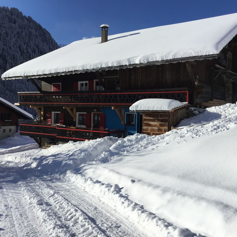 Appartement Fleurs des Champs 1, Vue extérieur, Châtel Location de ski