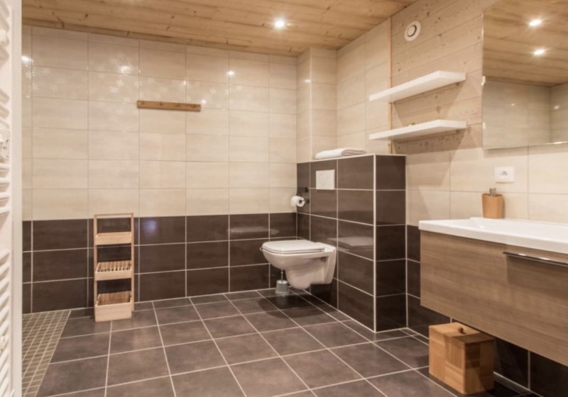 Appartement la Belette salle de douche Châtel