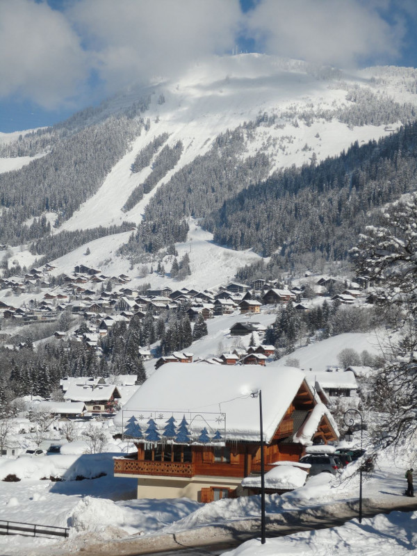 Appartement La Cabane du Bas Vue Chalet Châtel Hiver Montagne 