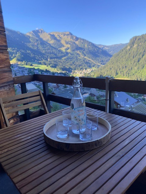 Appartement les Favioles n°9, Terrasse vue montagne, Châtel Télésiège 74