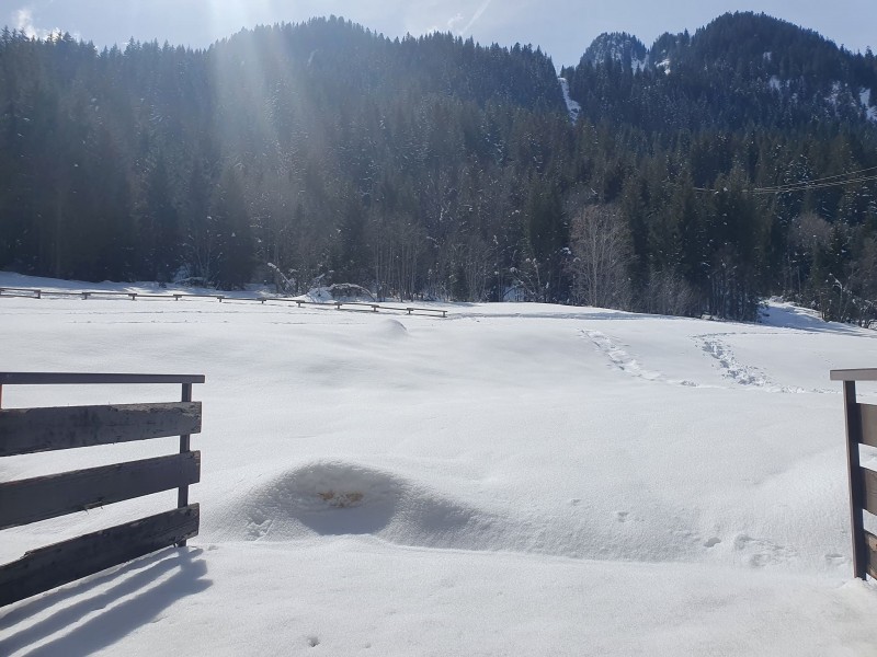 Appartement Les Iris 6 Vue Châtel Neige