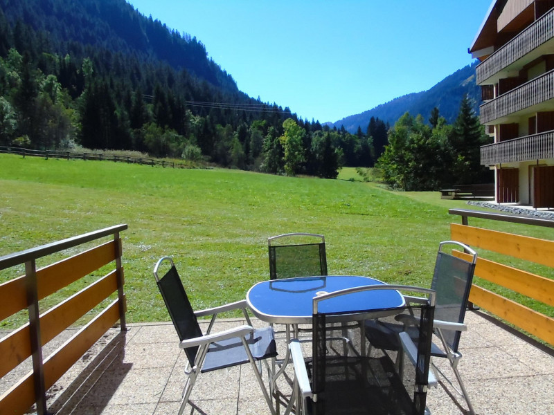 Appartement les Myrtilles 6 Châtel Terrasse