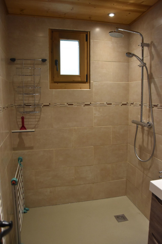 Apartment Les Rhododenrons 108, Douche, Châtel Haute-Savoie