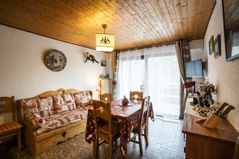 Appartement les Snailles, Séjour, Châtel