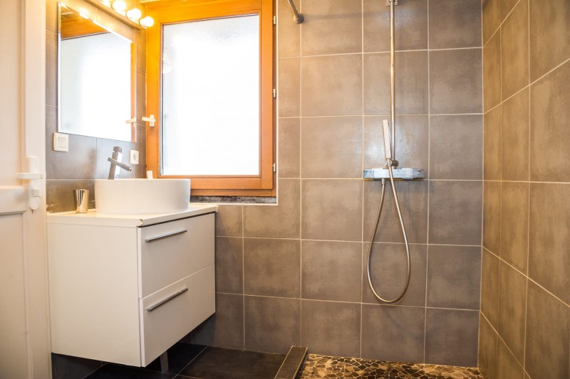 Apartment Martonne, Shower room with WC, Châtel Portes du Soleil