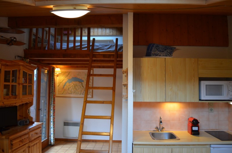 Appartement n°13 B dans résidence les Voinettes, Mezzanine, Châtel